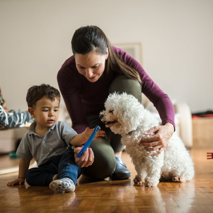 Choosing the Right Dog Breed for Children with Autism