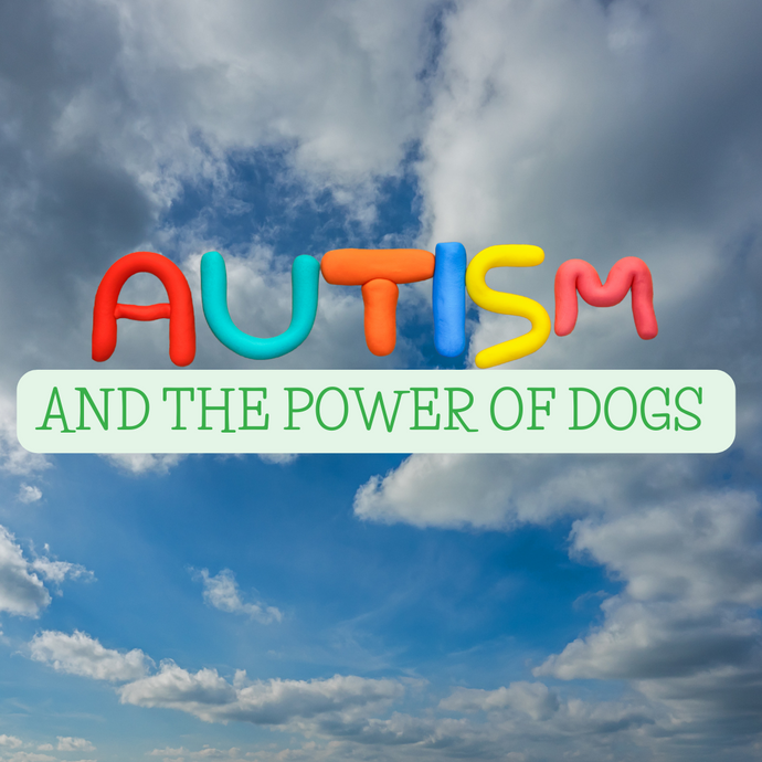 Unleashing the Power of Companionship: The Benefits of Owning a Dog for Children and Young Adults with Autism